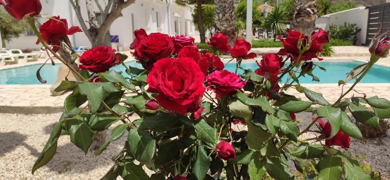 5 Elementi Bed & Breakfast Porto Empedocle