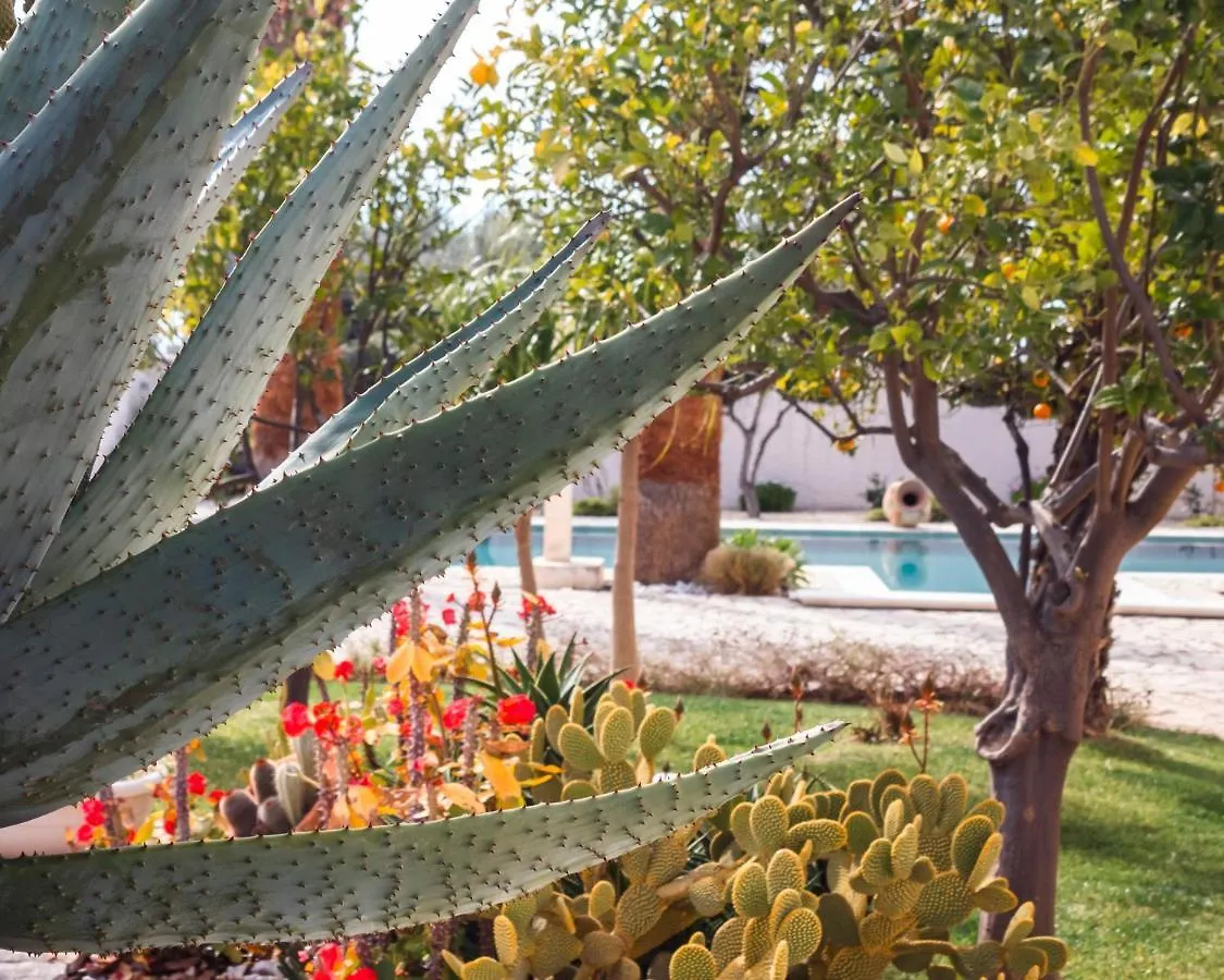 ***  5 Elementi Bed & Breakfast Porto Empedocle Italy