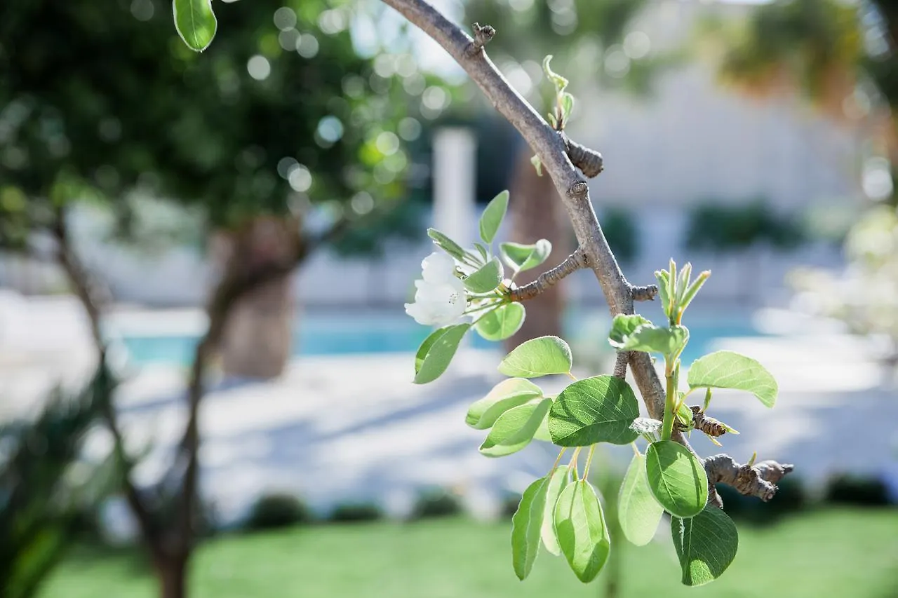 5 Elementi Bed & Breakfast Porto Empedocle 3*,